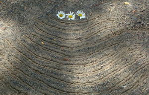 DIRT LINES 